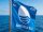 Verbania
Bandiere Blu 2026: confermate nel VCO