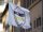 Verbania
M5S: Fondi verdi europei, perché il VCO non c'era?